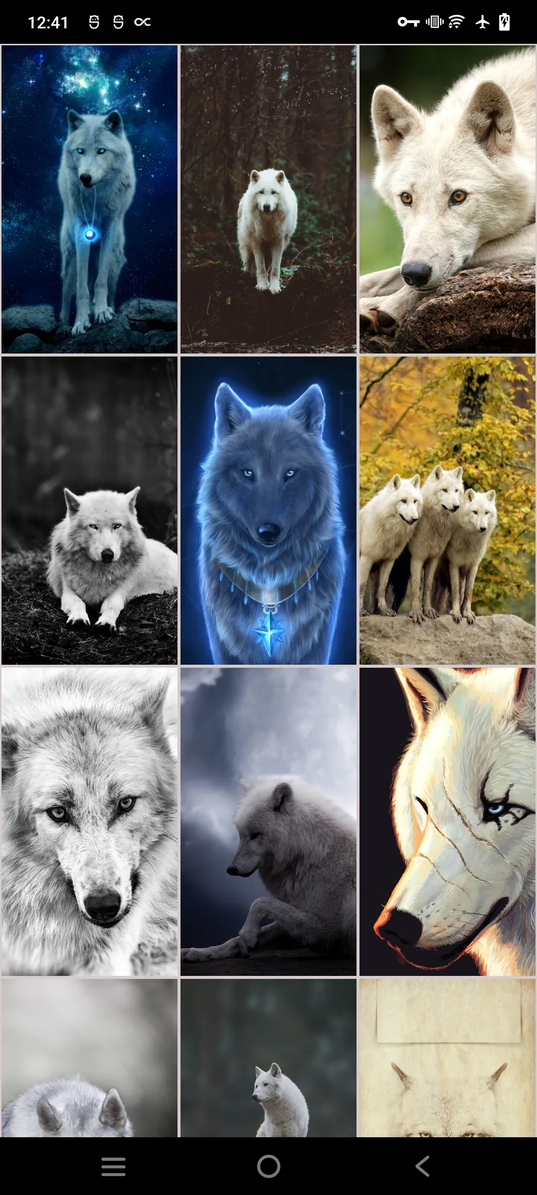 White (Polar) Wolf Wallpapers | Indus Appstore | Screenshot