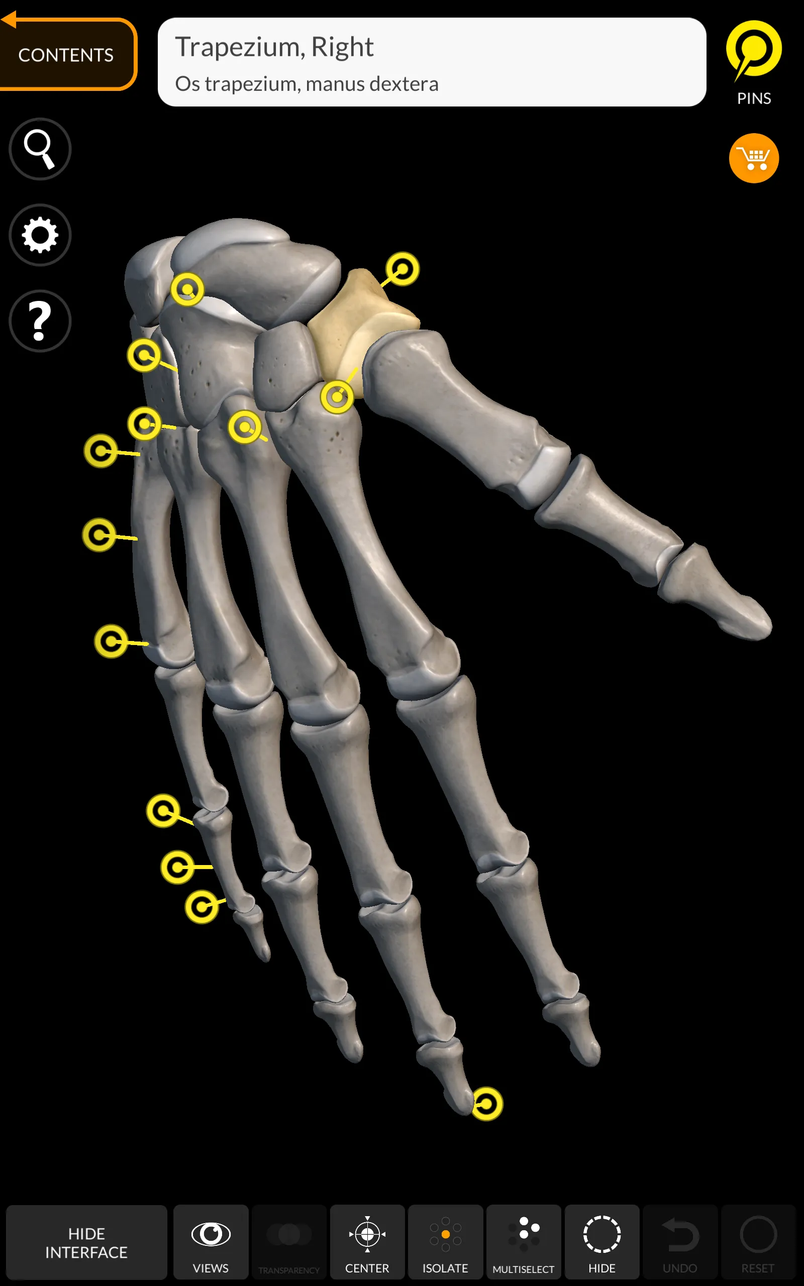 Skeleton | 3D Anatomy | Indus Appstore | Screenshot