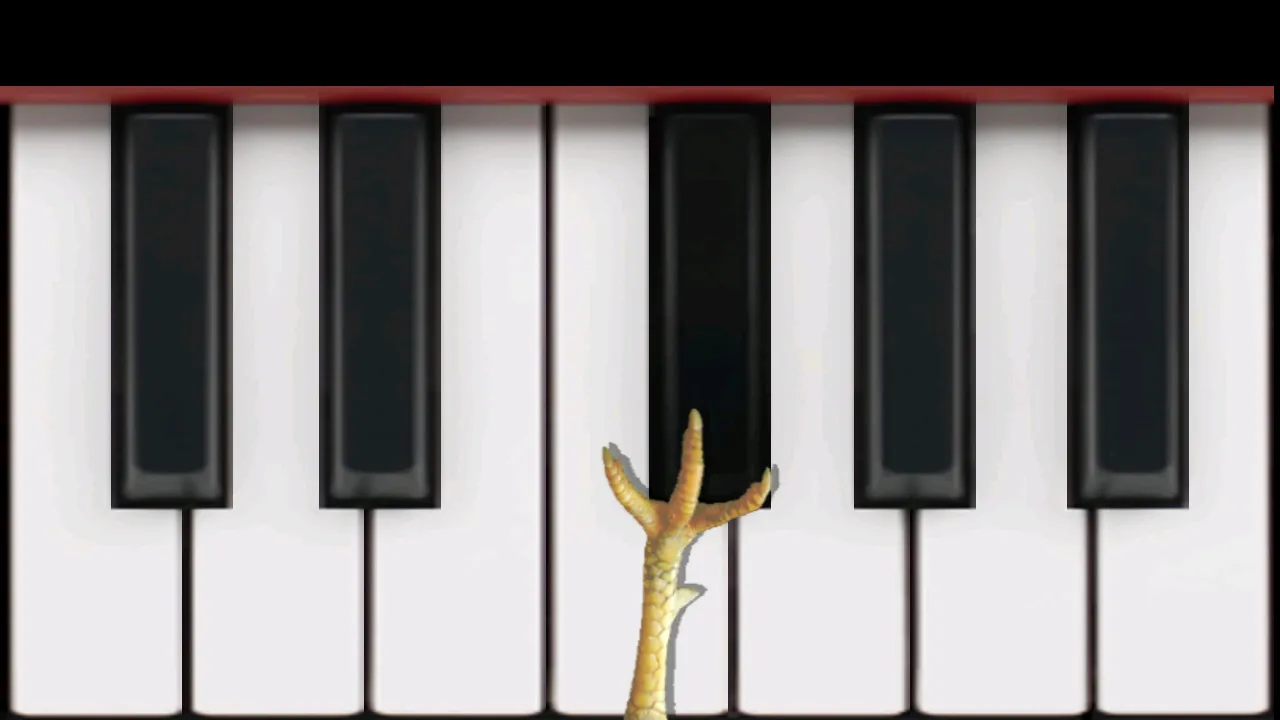 Chicken Piano | Indus Appstore | Screenshot