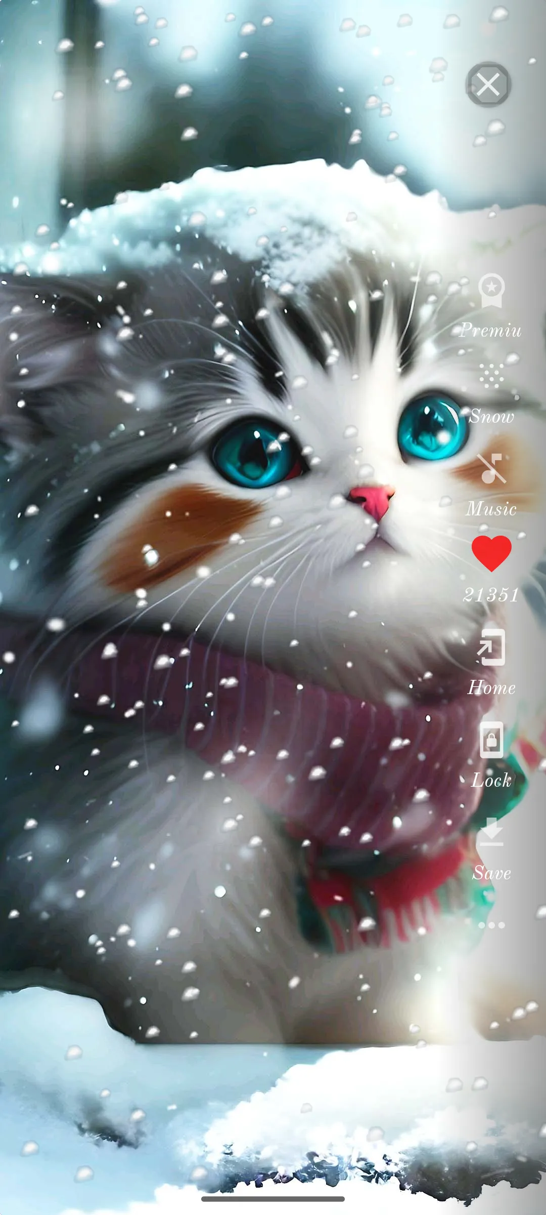 Cute Cat Wallpaper HD | Indus Appstore | Screenshot