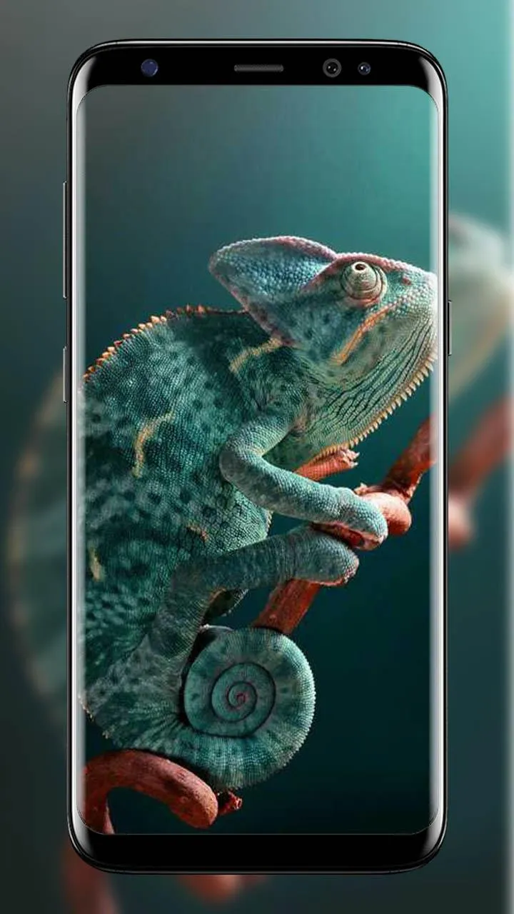 Chameleon wallpapers | Indus Appstore | Screenshot