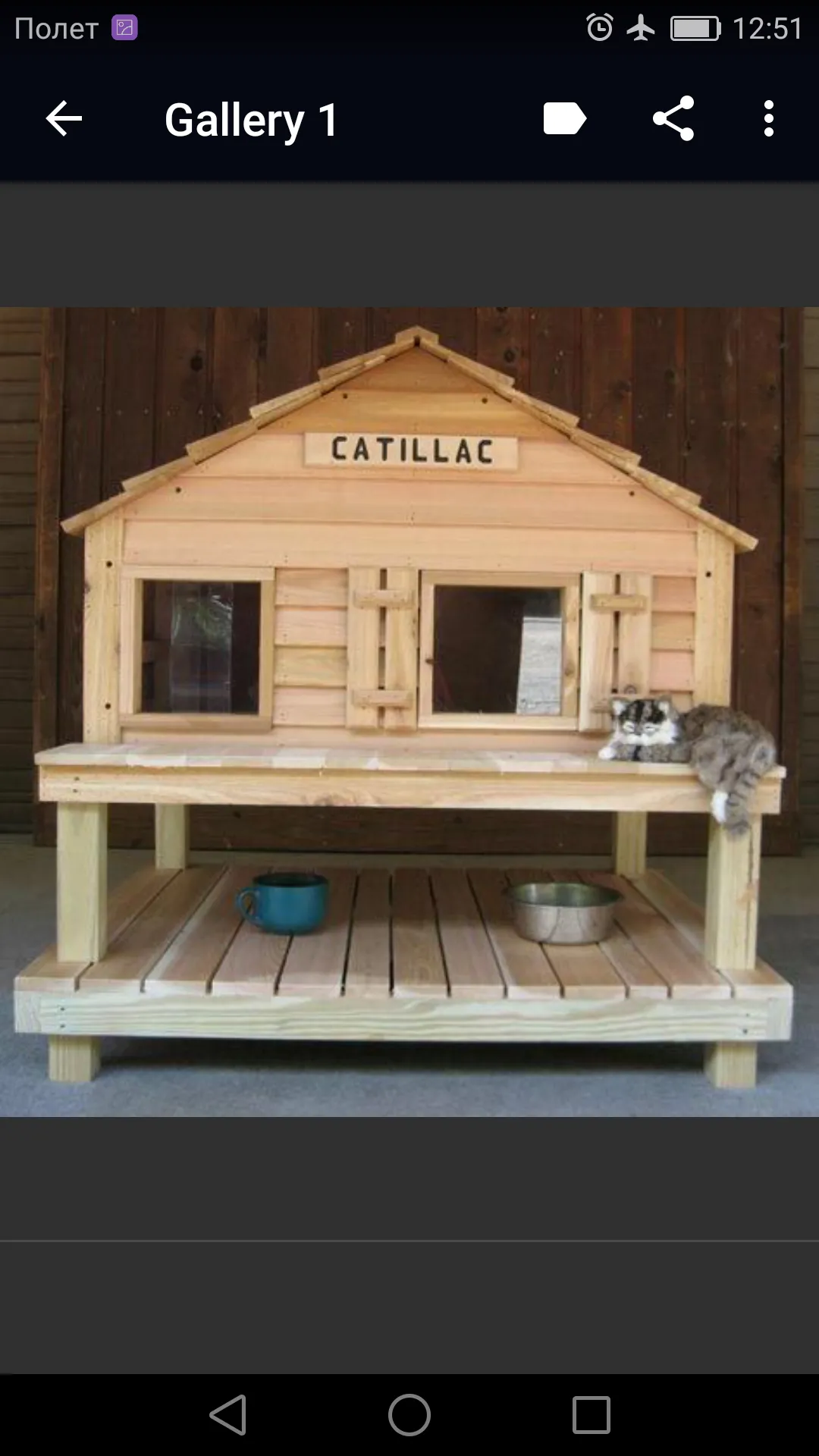 Outdoor Cat House | Indus Appstore | Screenshot