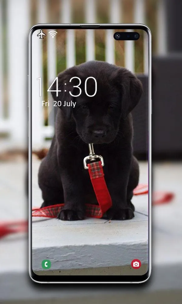 Puppy Wallpaper | Indus Appstore | Screenshot