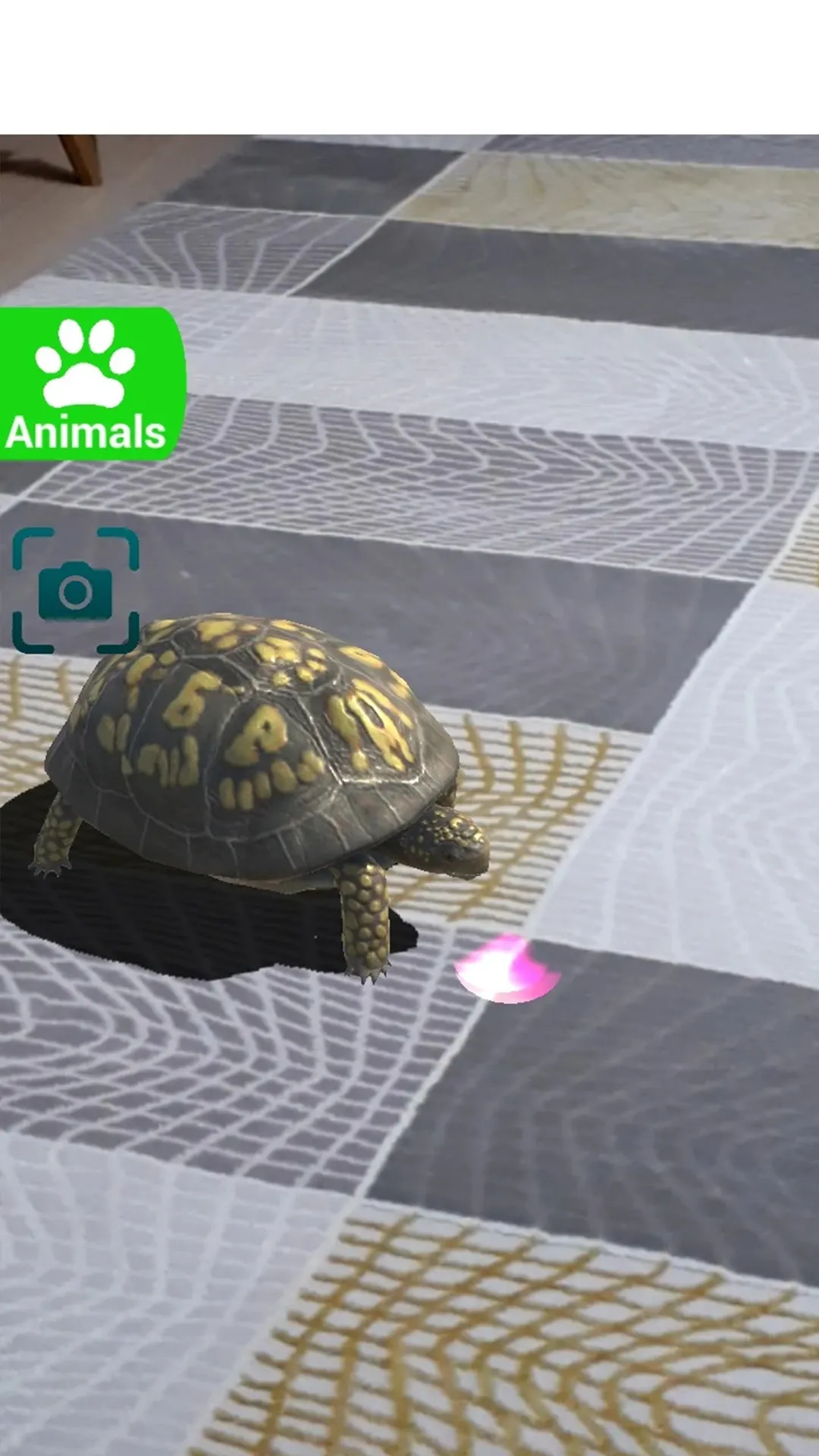 AR 3D Animals | Indus Appstore | Screenshot