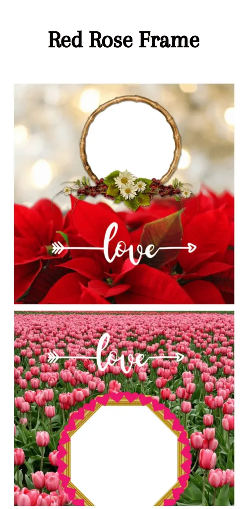 Red Rose Photo Frame | Indus Appstore | Screenshot