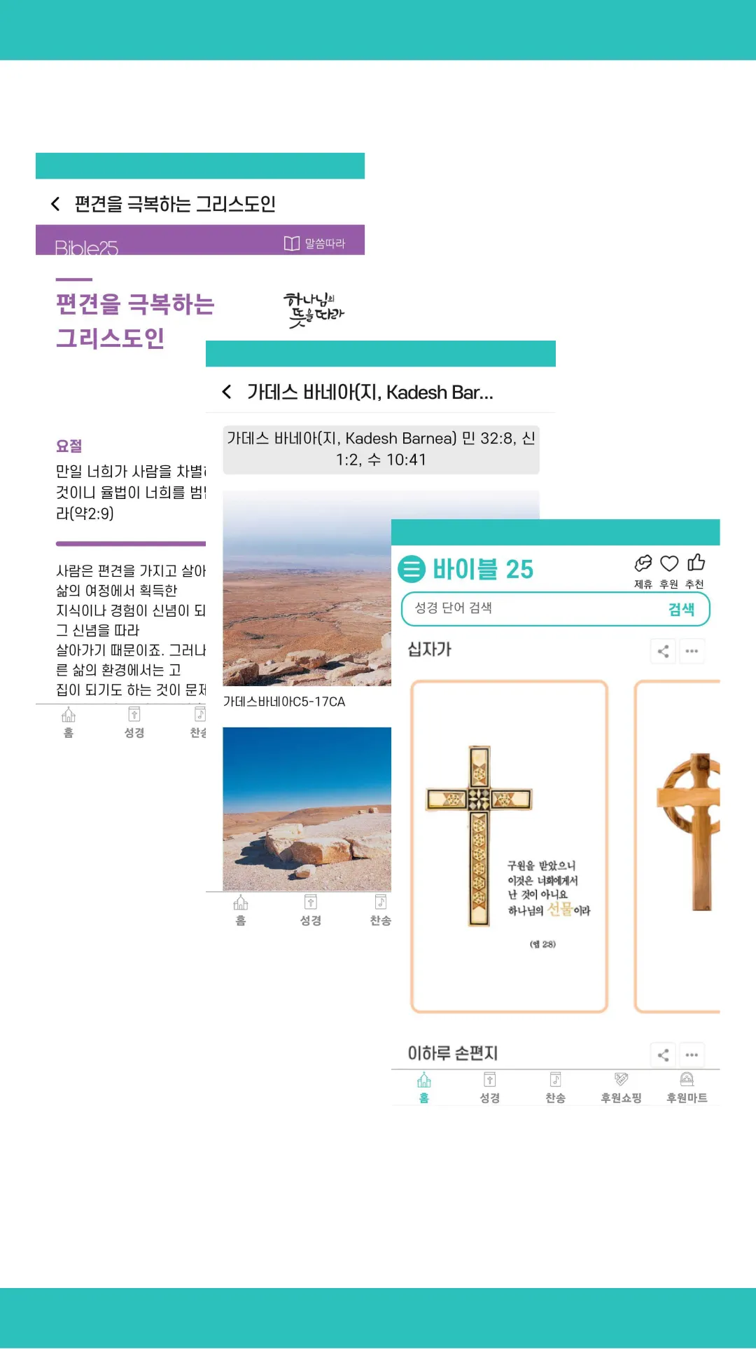 Bible 25 | Indus Appstore | Screenshot