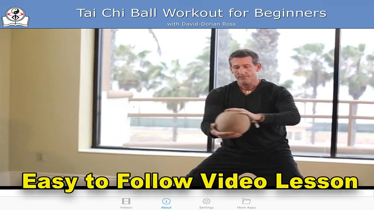 Tai Chi Ball Beginner | Indus Appstore | Screenshot