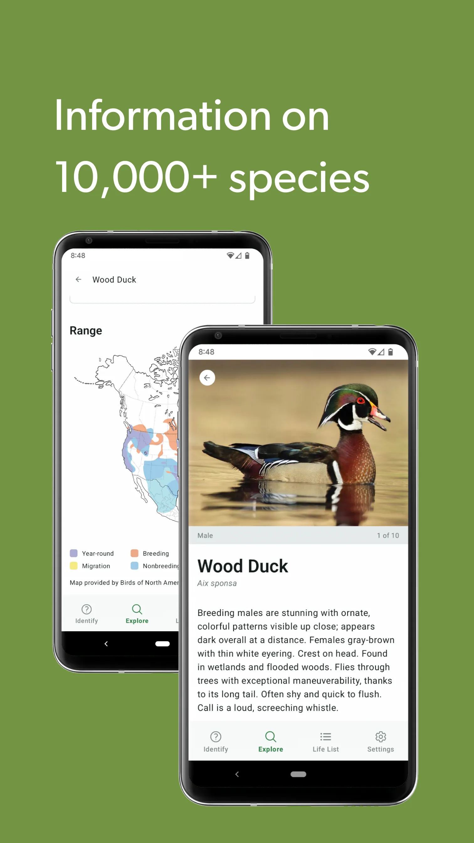 Merlin Bird ID by Cornell Lab | Indus Appstore | Screenshot