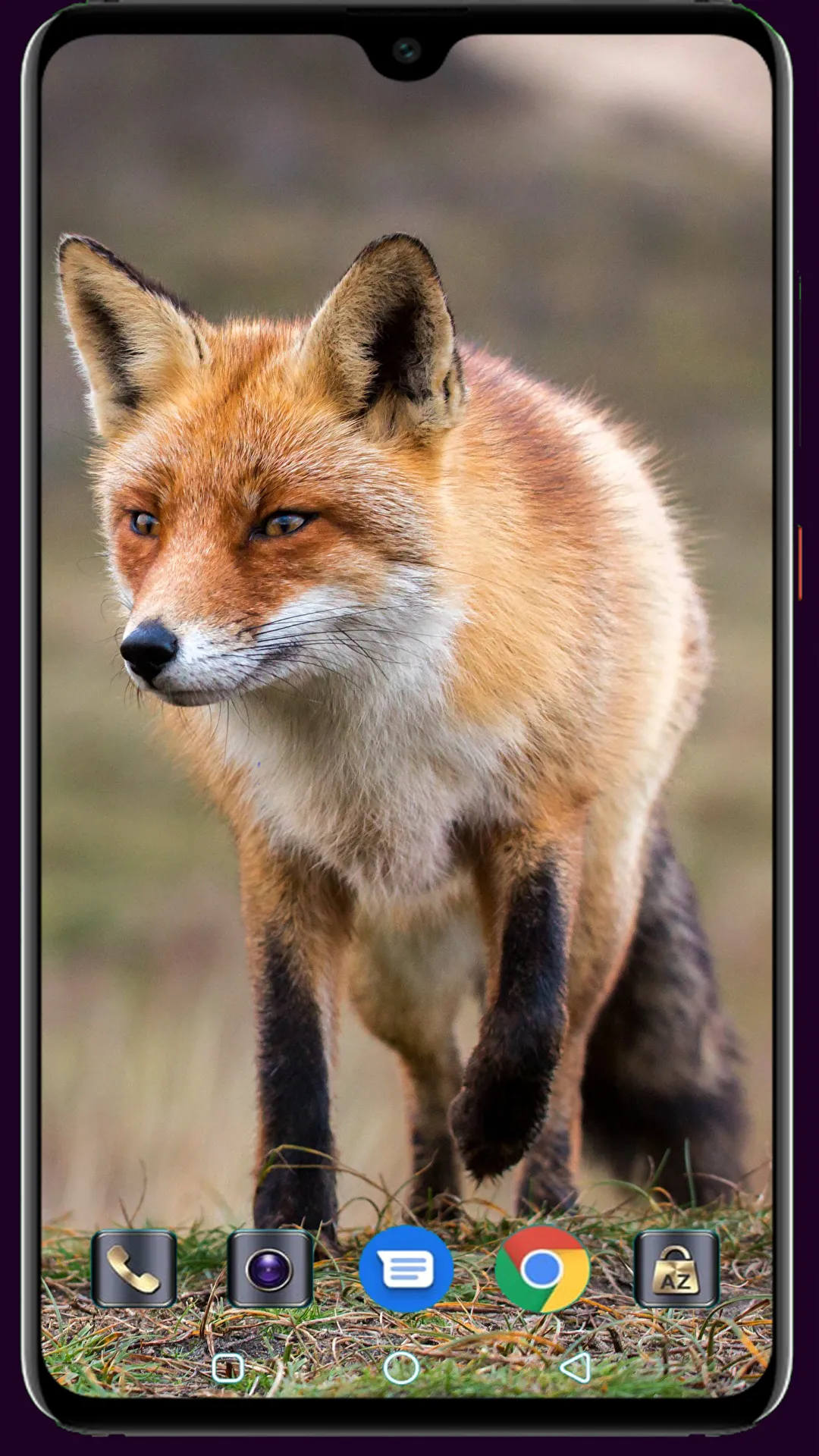 Fox Wallpaper | Indus Appstore | Screenshot