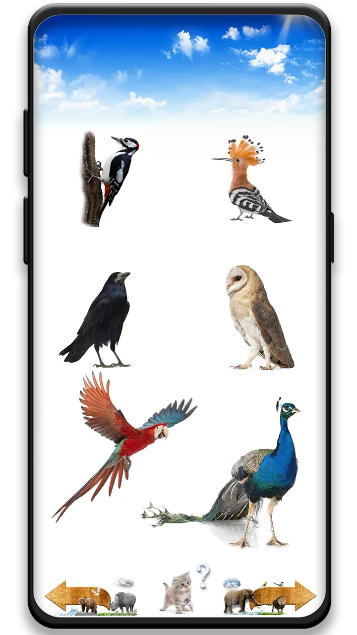 Animal Sounds | Indus Appstore | Screenshot