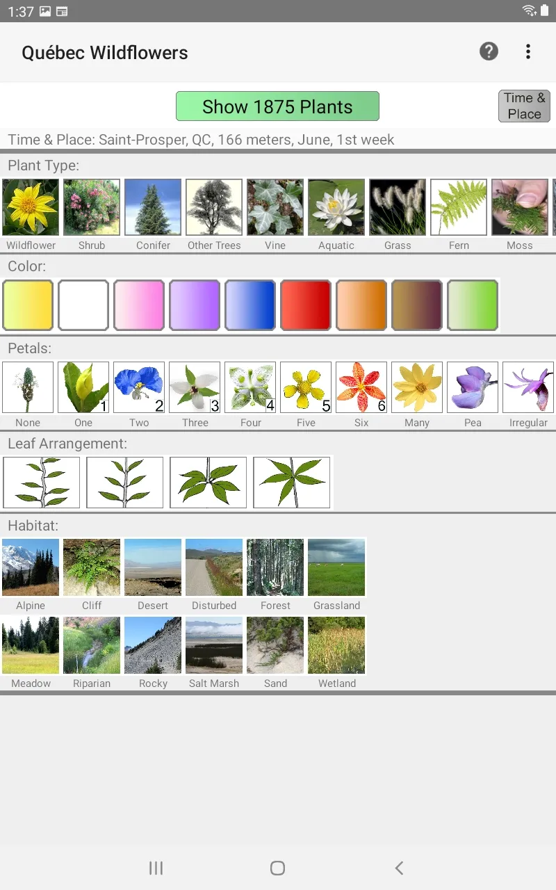 Québec Wildflowers | Indus Appstore | Screenshot