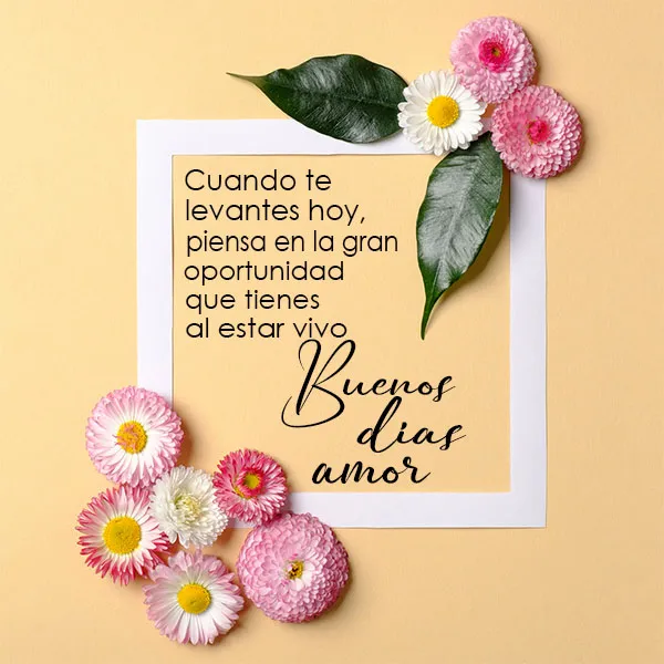 Buenos Días Amor - Saludos | Indus Appstore | Screenshot