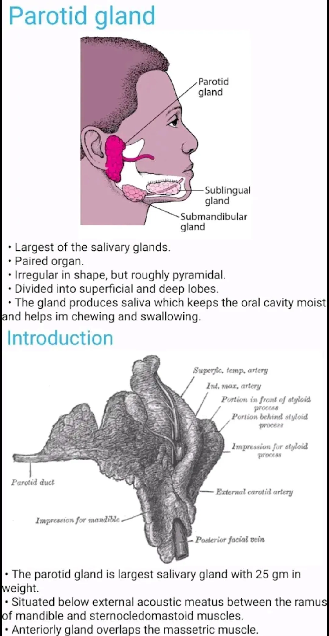 Human Anatomy E Theories | Indus Appstore | Screenshot