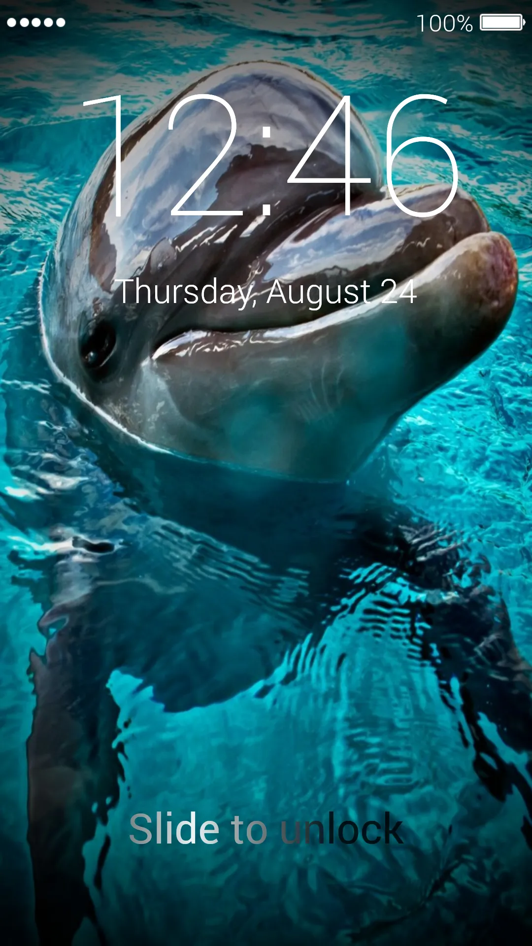 Dolphins Wallpapers & Lock | Indus Appstore | Screenshot