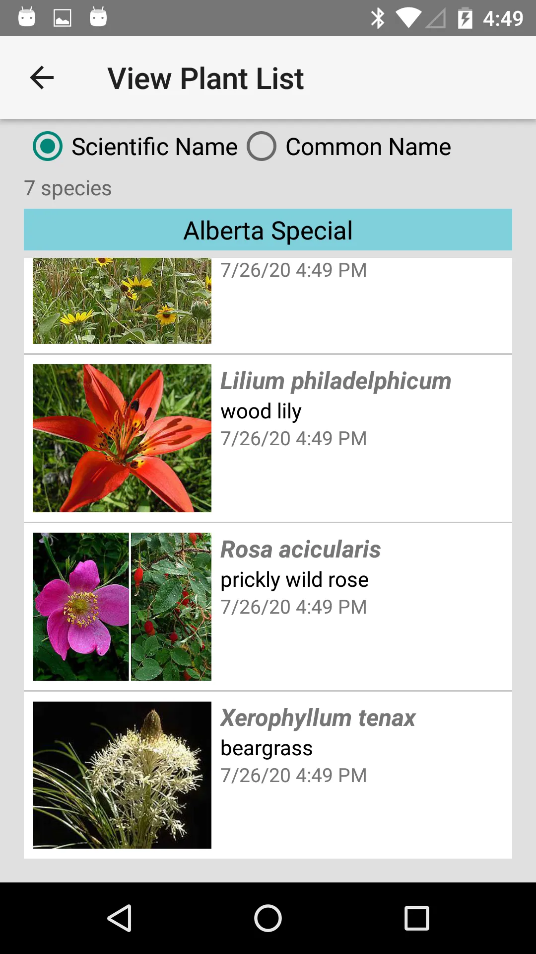 Alberta Wildflowers | Indus Appstore | Screenshot