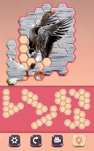 Animals Jigsaw! - Hexa puzzle | Indus Appstore | Screenshot