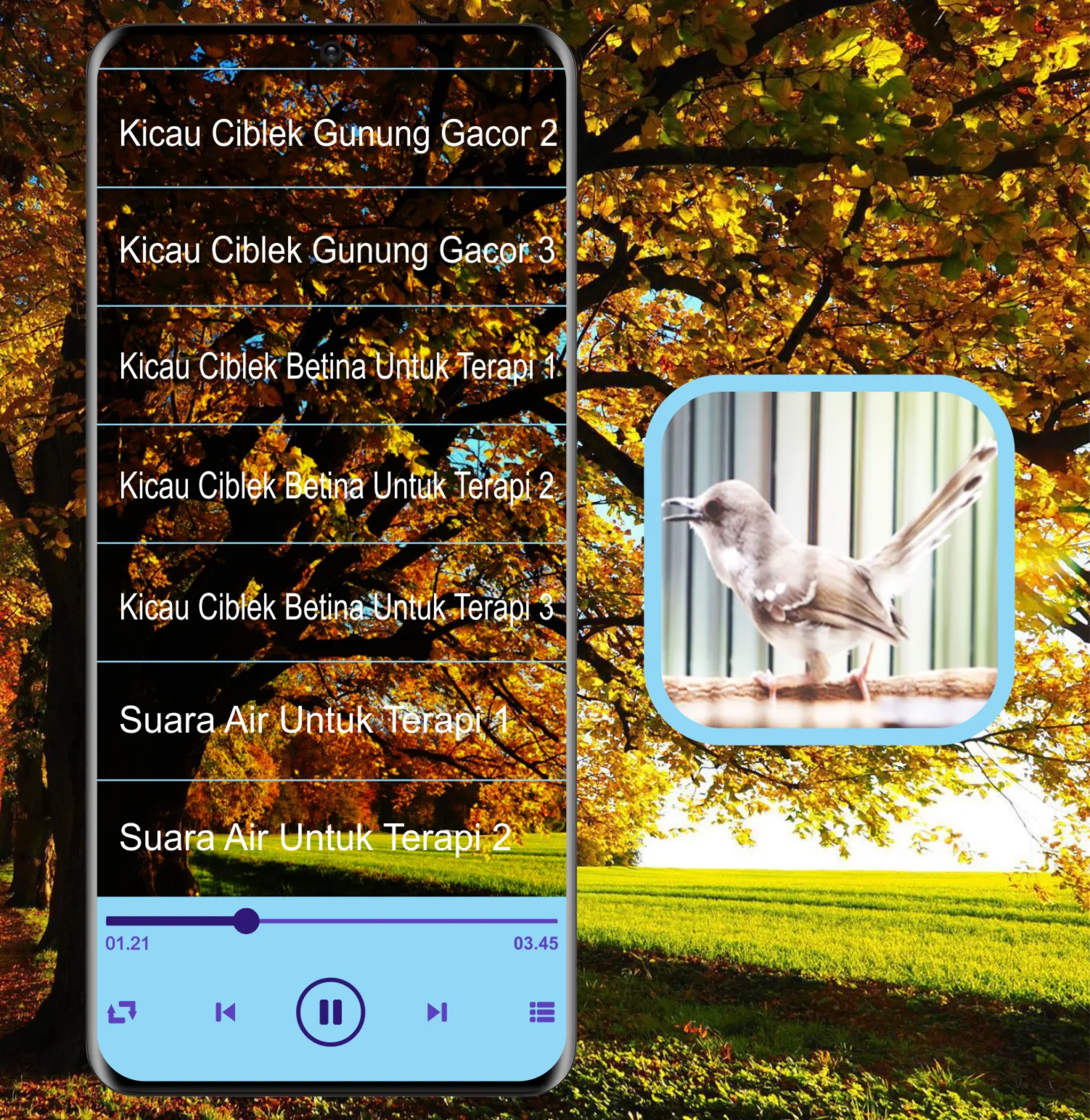 Masteran Kicau Ciblek Mp3 | Indus Appstore | Screenshot