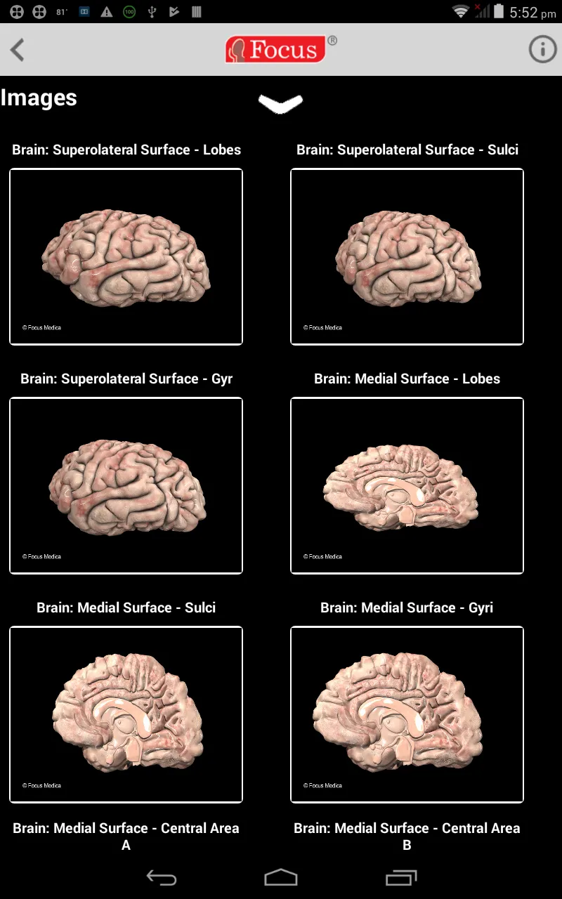 NEUROANATOMY - Digital Atlas | Indus Appstore | Screenshot