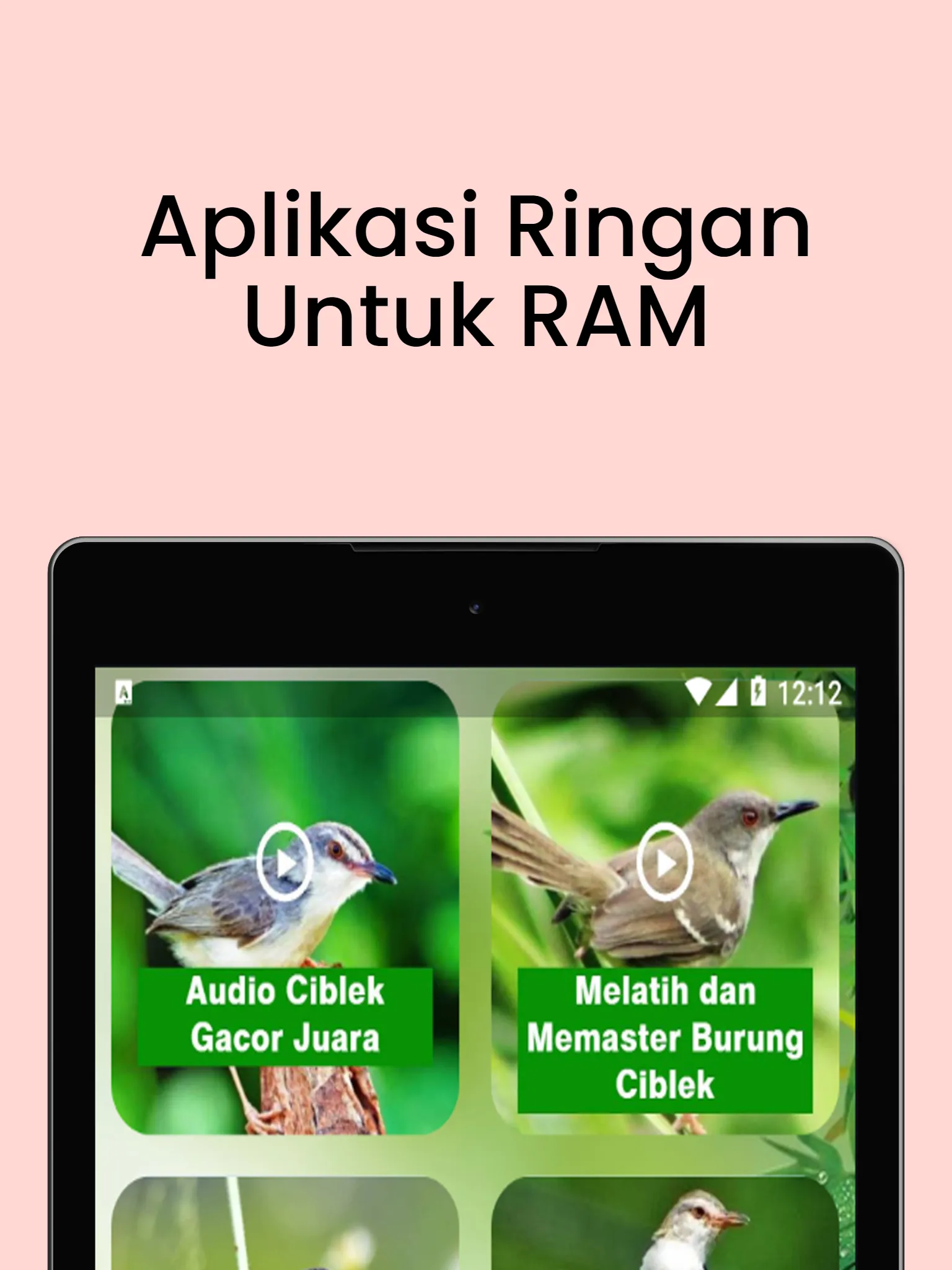 Masteran Ciblek Gacor Ngebren | Indus Appstore | Screenshot