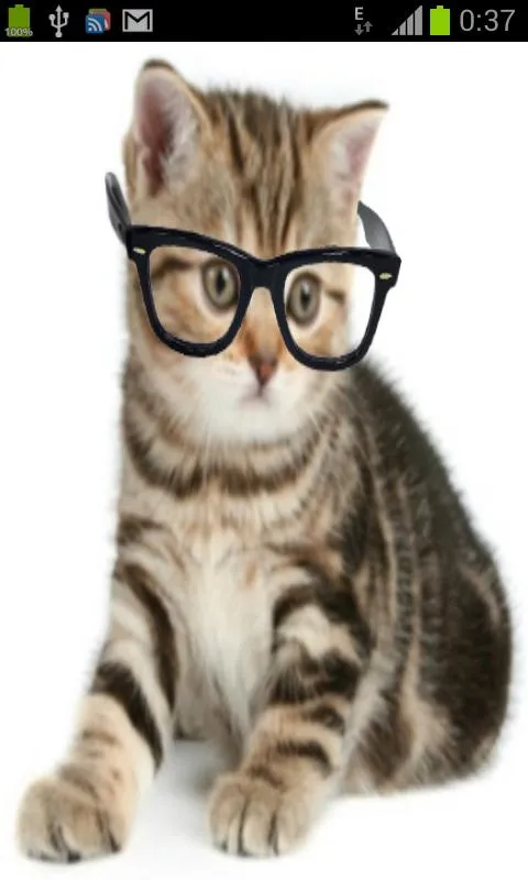 Crazy Hipster Cat | Indus Appstore | Screenshot