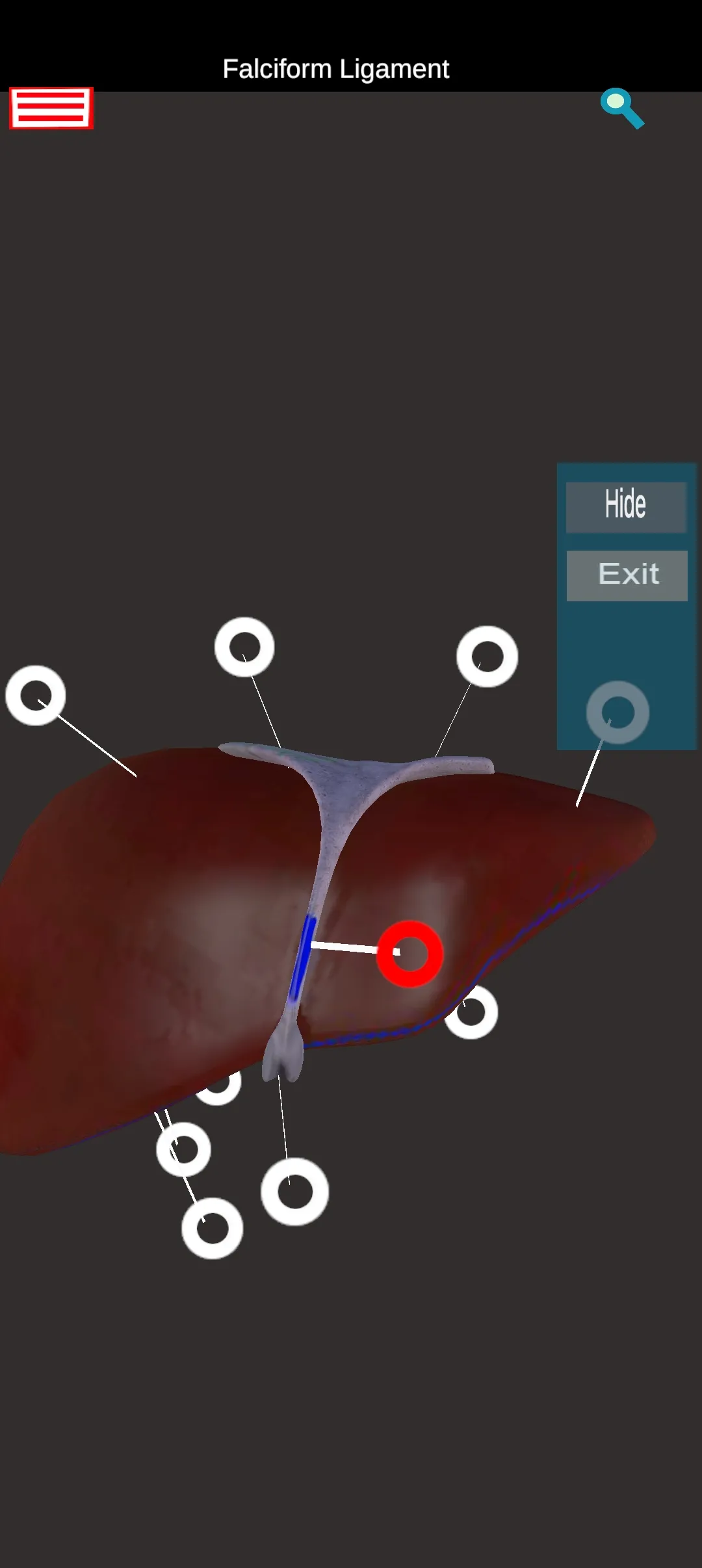 Human Anatomy -3D Atlas | Indus Appstore | Screenshot