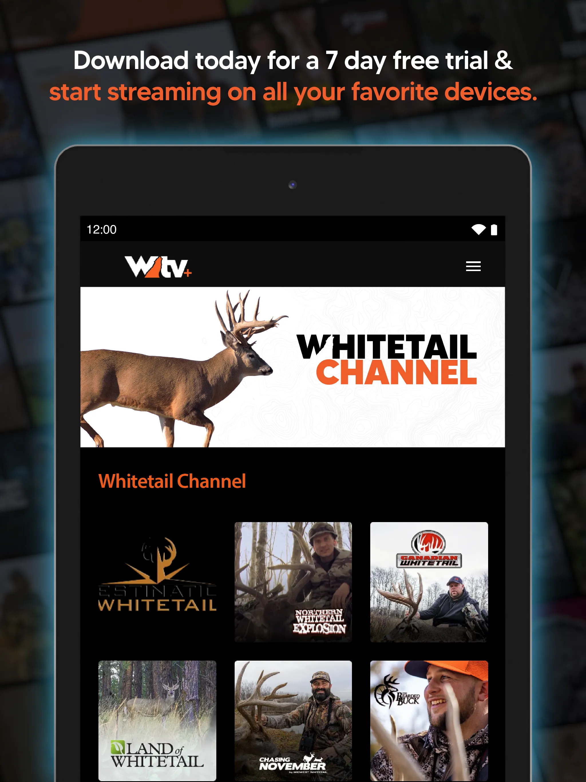 Wild TV+ | Indus Appstore | Screenshot