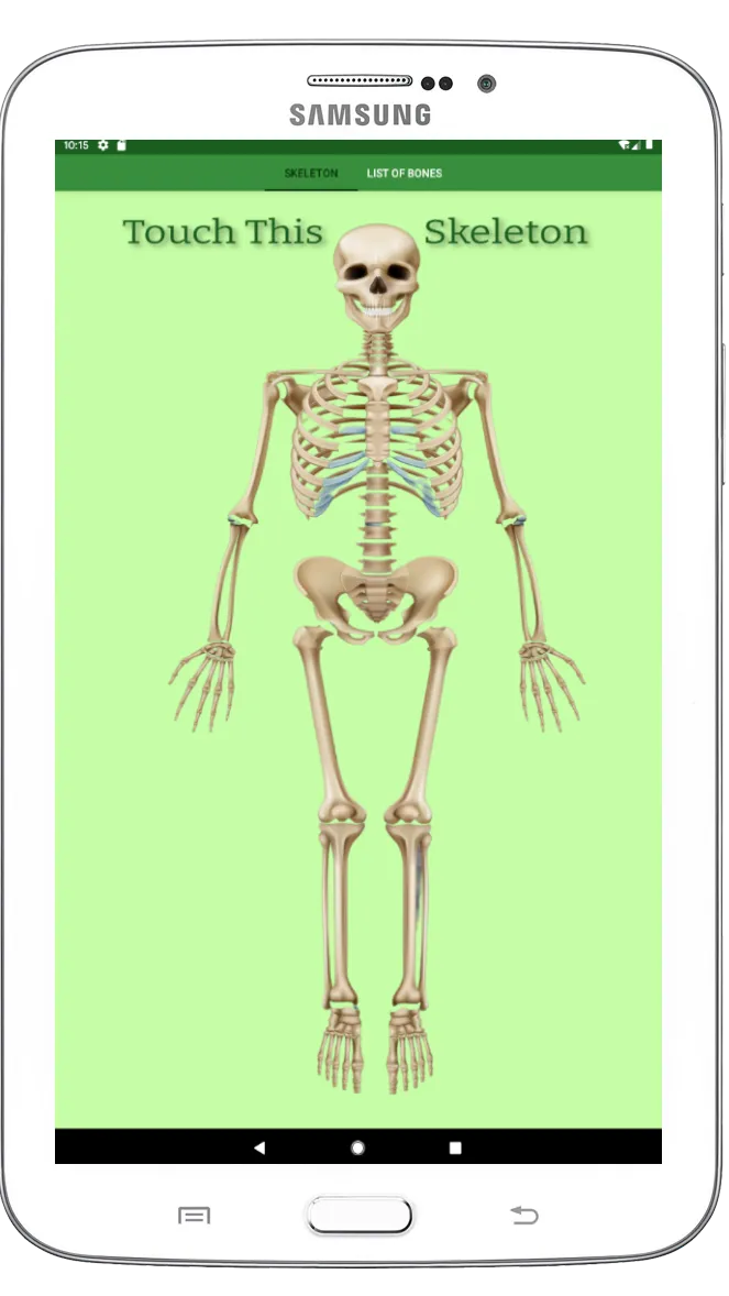 Human Skeleton 3D ( Anatomy ) | Indus Appstore | Screenshot