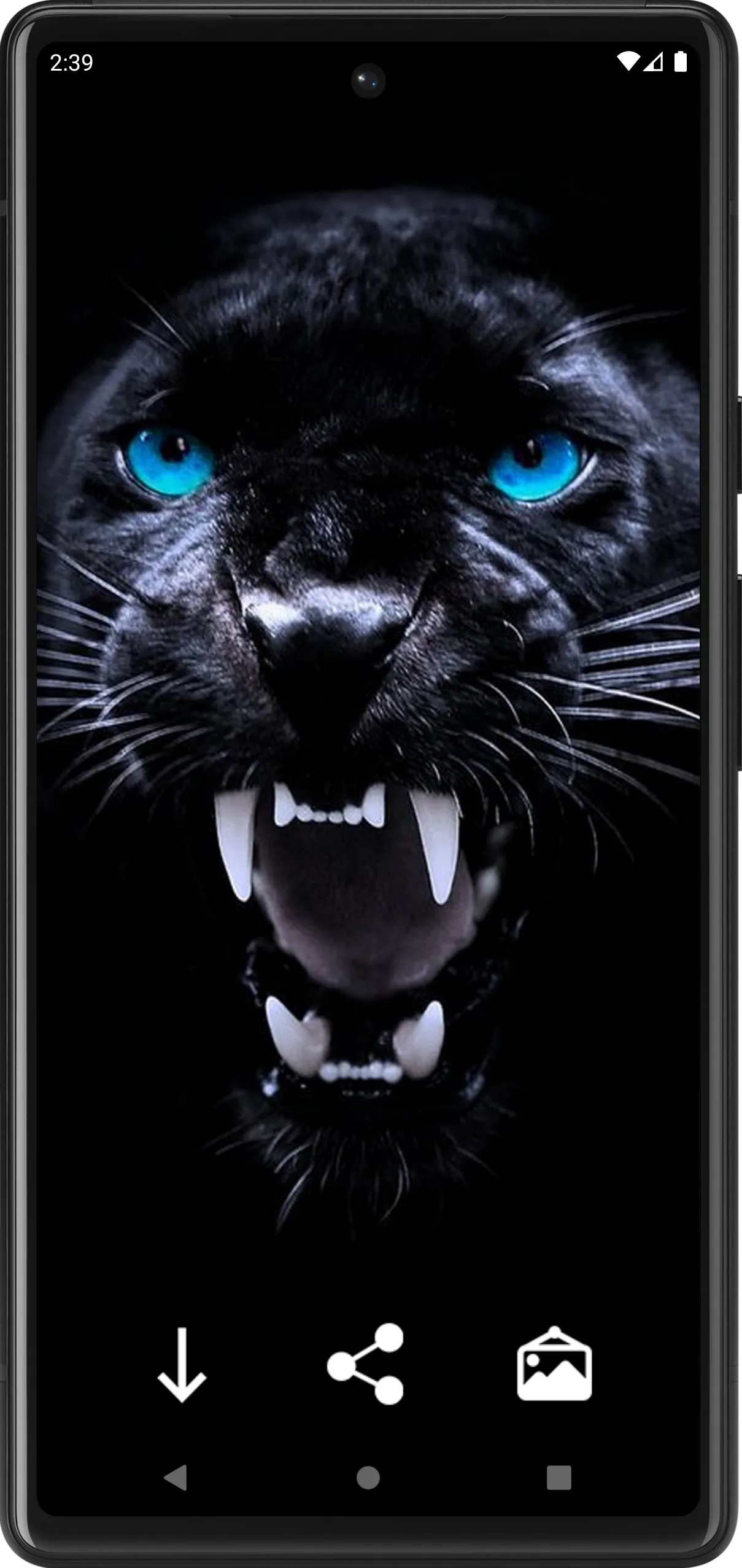 Panther Wallpapers | Indus Appstore | Screenshot