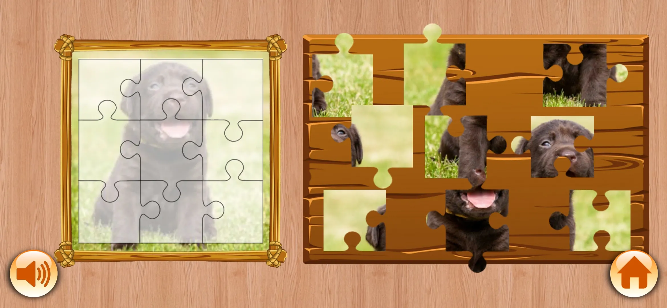 Nice Dogs Puzzles | Indus Appstore | Screenshot