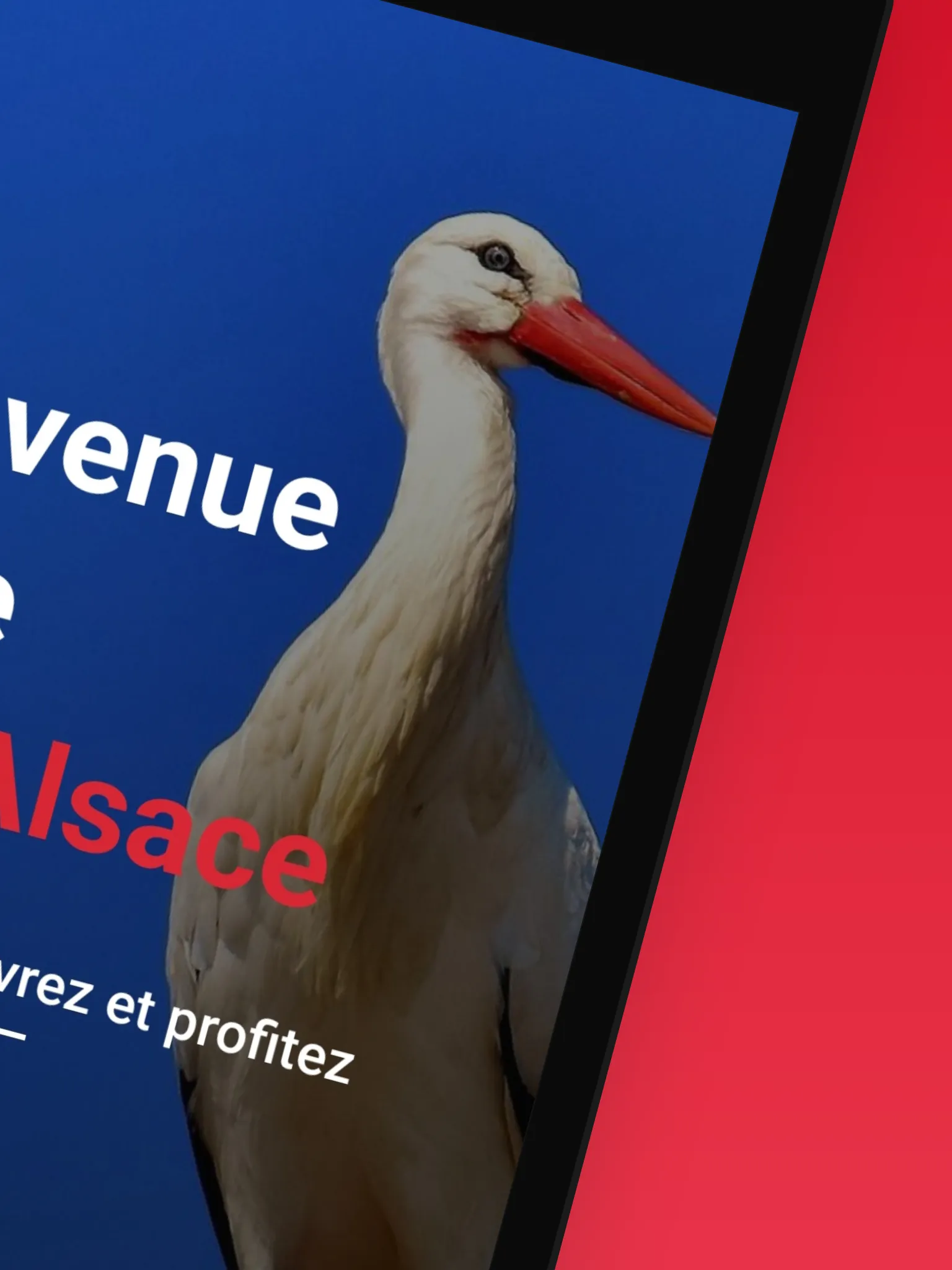 Pass'Alsace - Visit Alsace | Indus Appstore | Screenshot