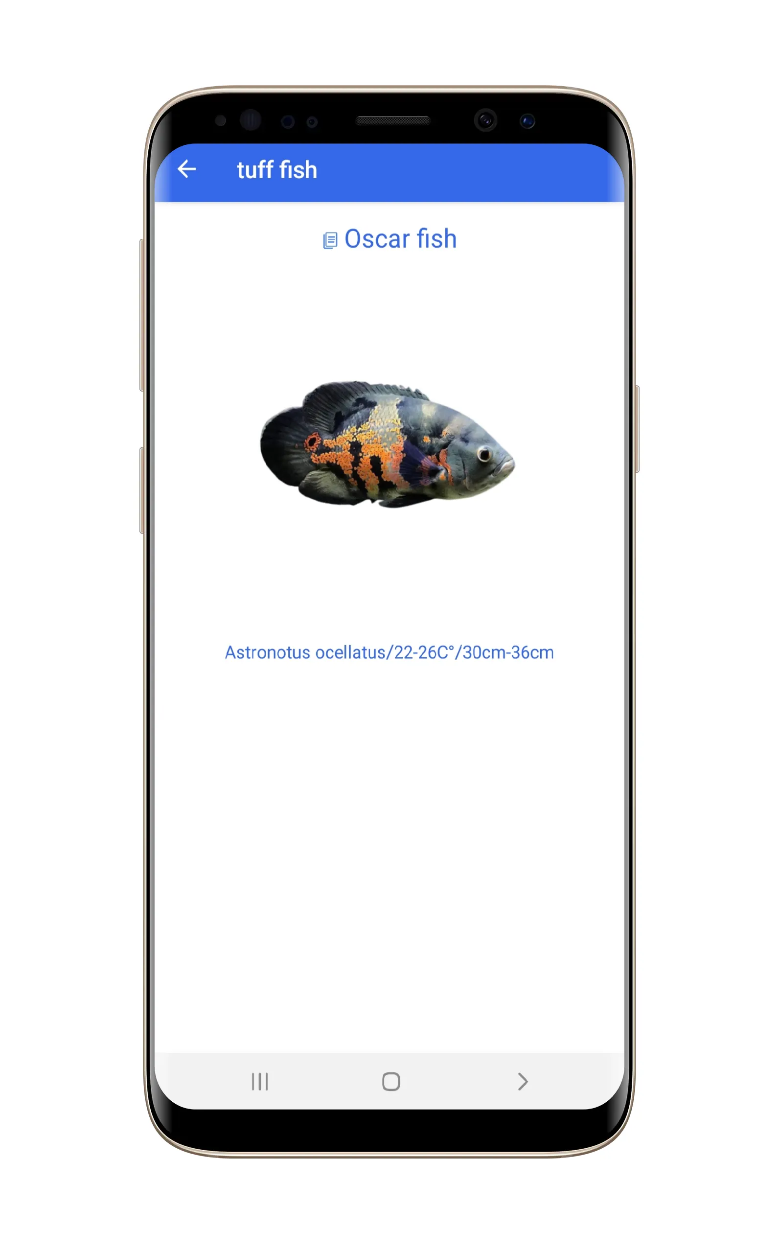 Ornamental fish | Indus Appstore | Screenshot