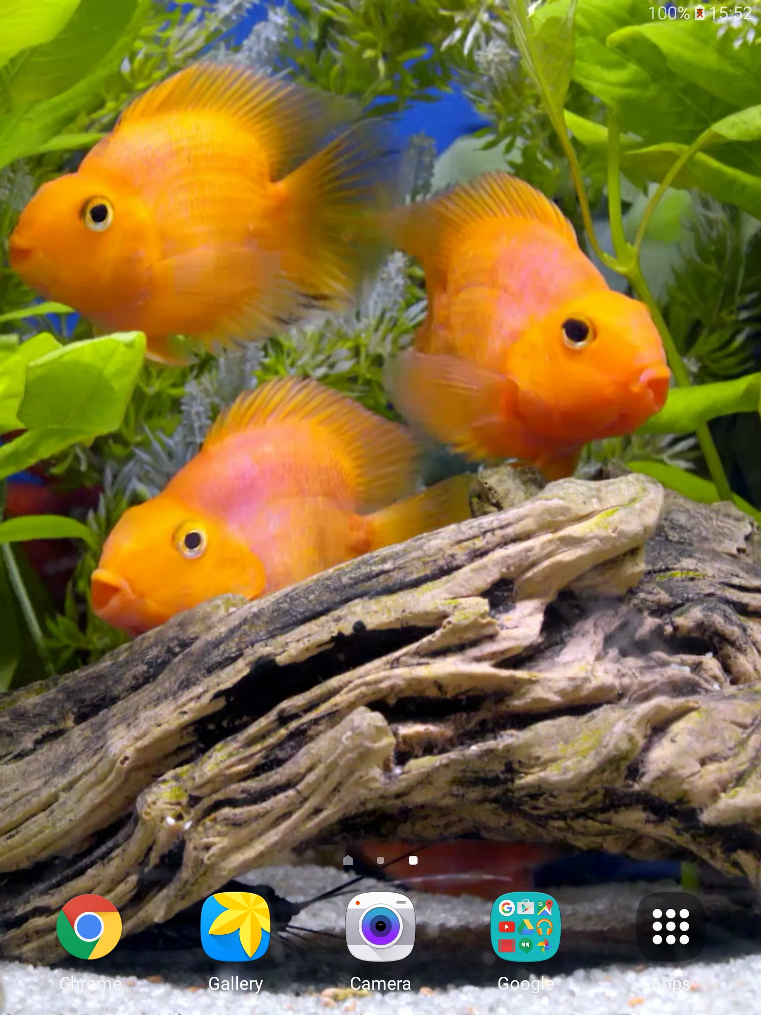 Aquarium 4K Live Wallpaper | Indus Appstore | Screenshot