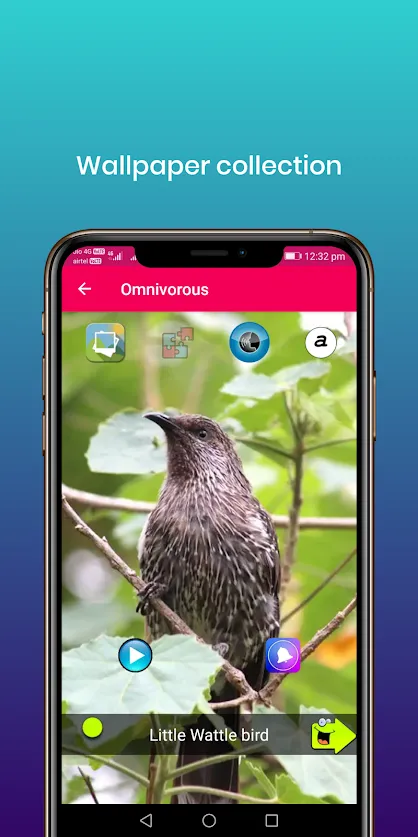 100 Bird sounds | Indus Appstore | Screenshot