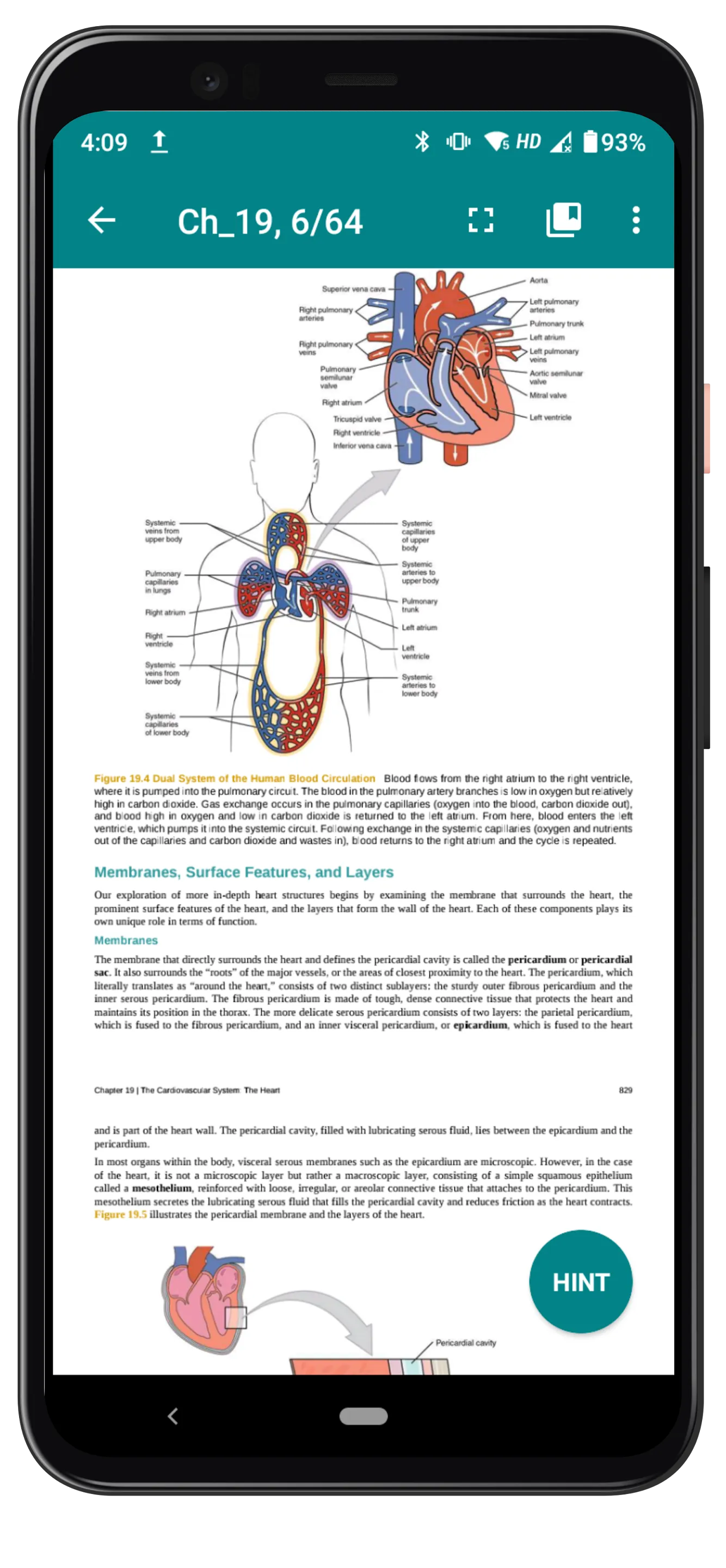 Anatomy and Physiology | Indus Appstore | Screenshot