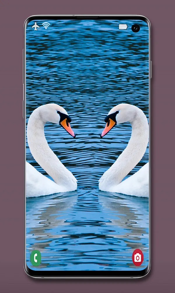 Animal Wallpapers | Indus Appstore | Screenshot