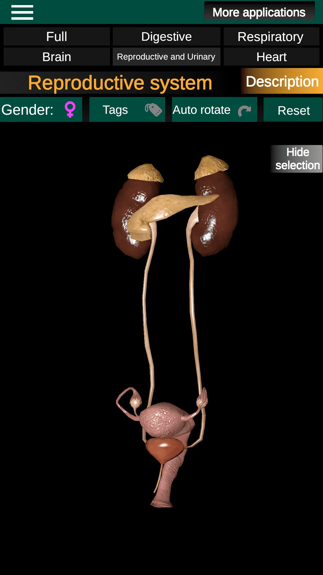 Internal Organs in 3D Anatomy | Indus Appstore | Screenshot