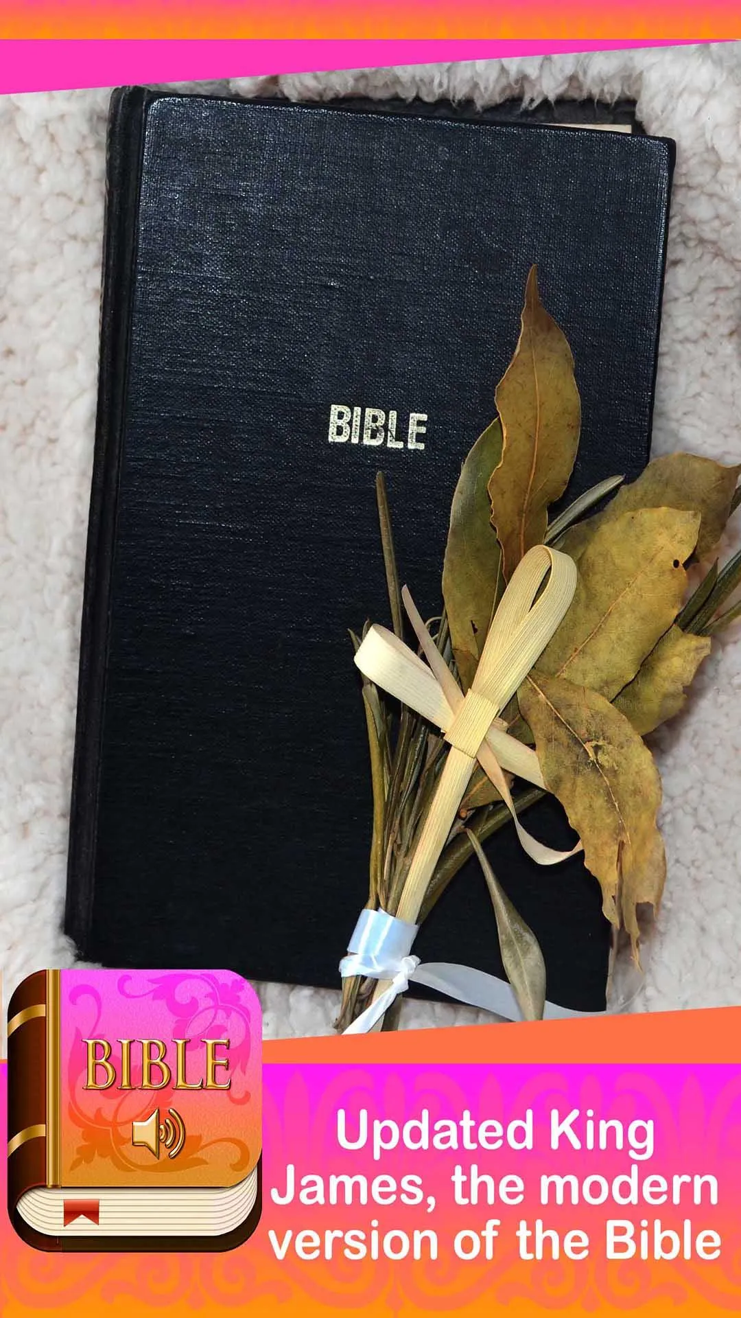 Bible 2024 Offline with audio | Indus Appstore | Screenshot