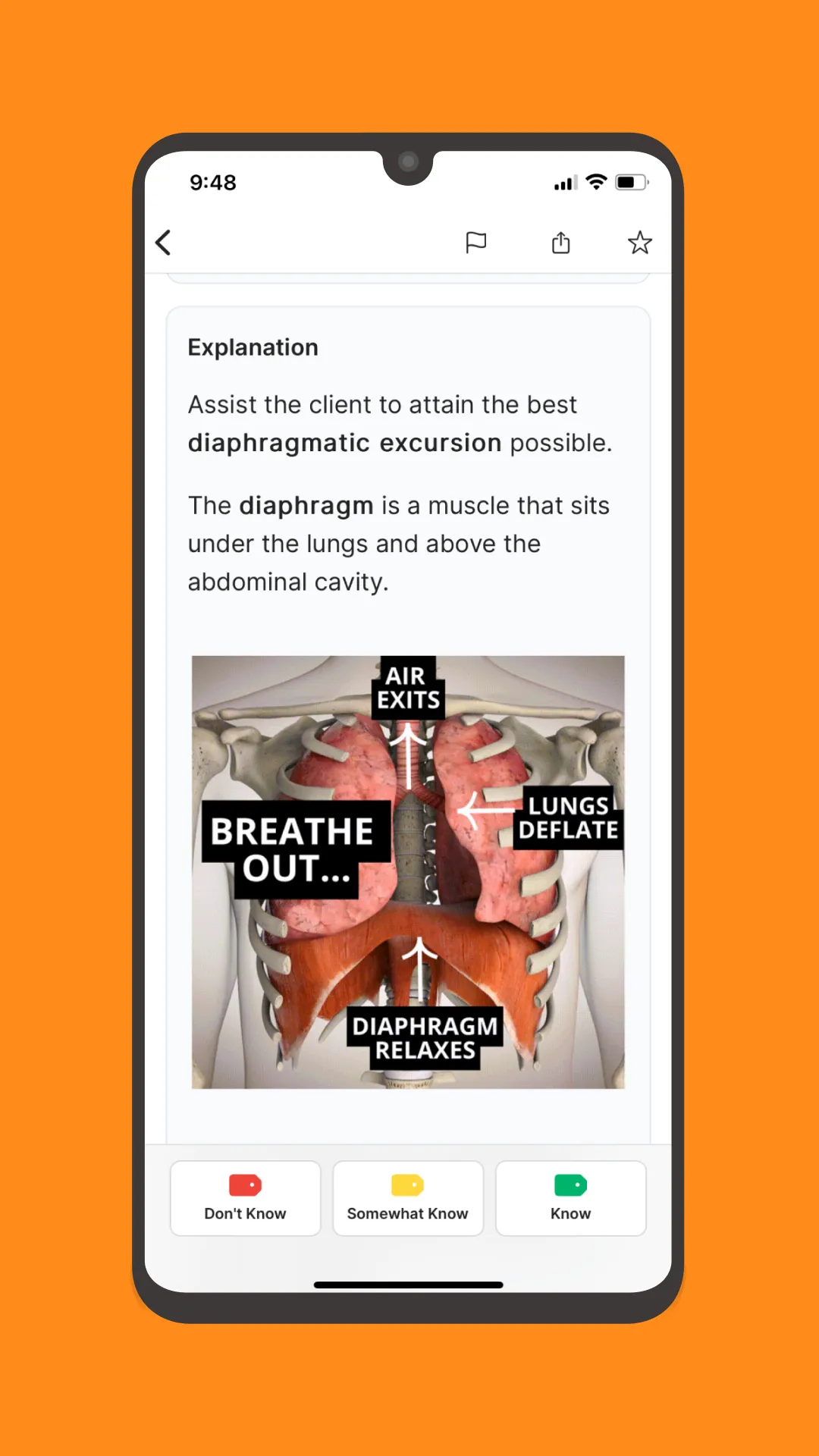 NCLEX RN Mastery 2024 | Indus Appstore | Screenshot