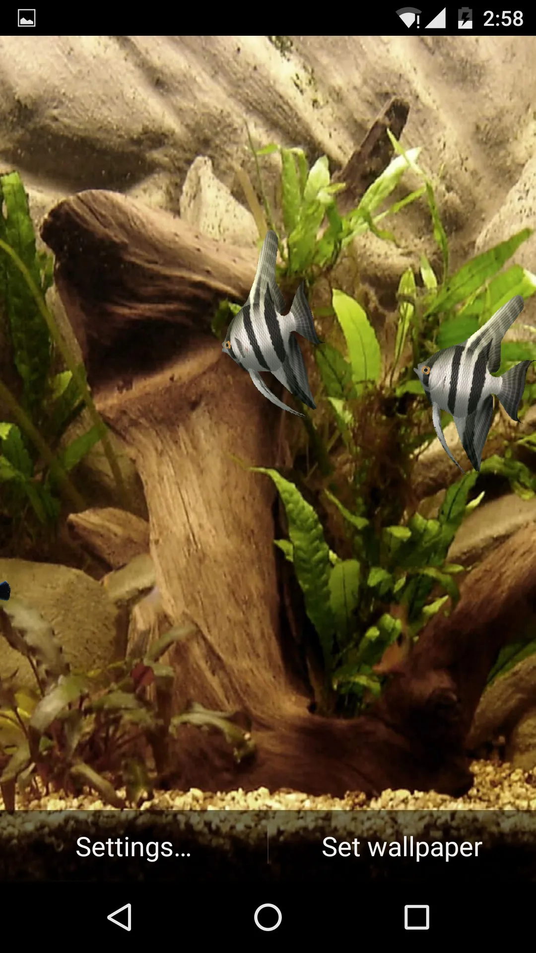 HD Aquarium Live Wallpaper 3D | Indus Appstore | Screenshot