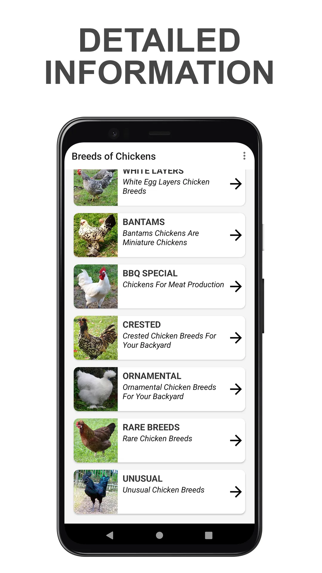 Chicken Breed | Indus Appstore | Screenshot