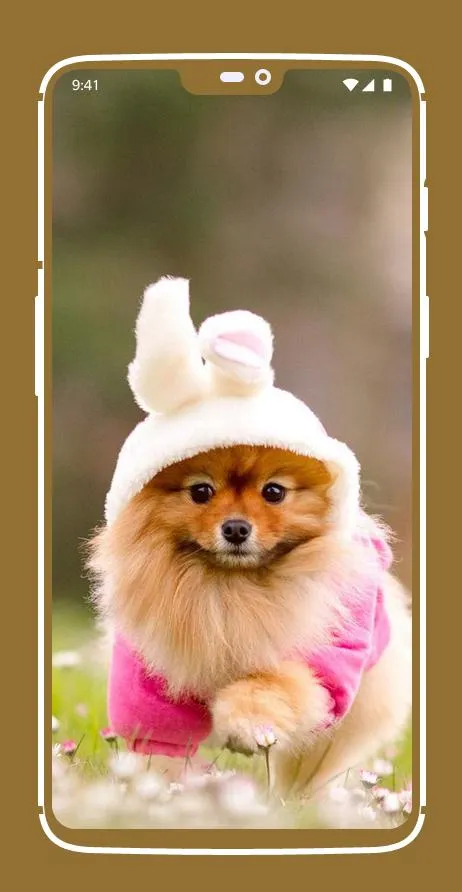 Cute Puppy Wallpapers | Indus Appstore | Screenshot