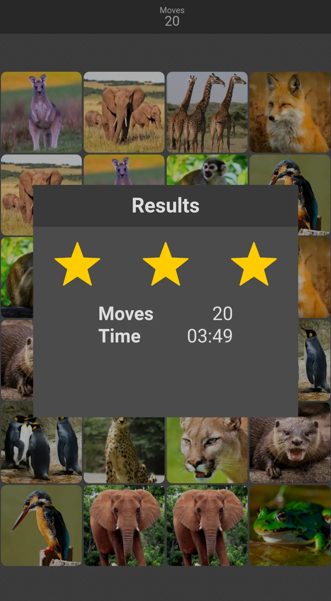 Pairs: Animals | Indus Appstore | Screenshot