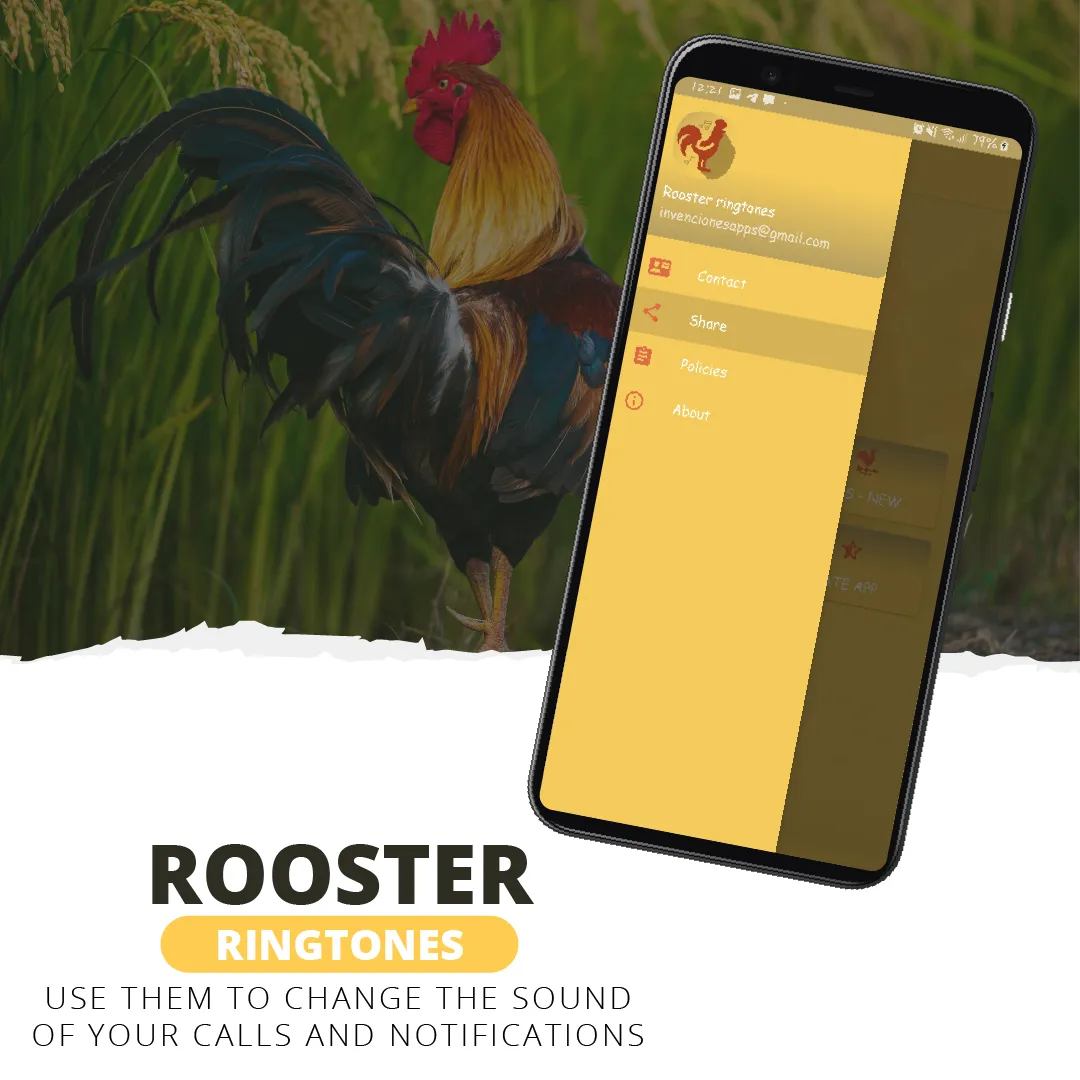 Rooster ringtones | Indus Appstore | Screenshot