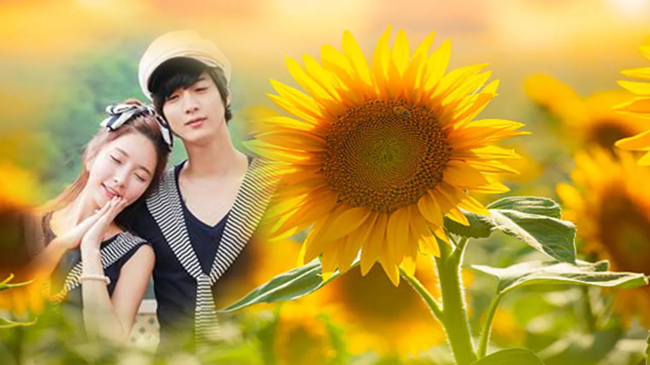 sunflower photo frames editor | Indus Appstore | Screenshot