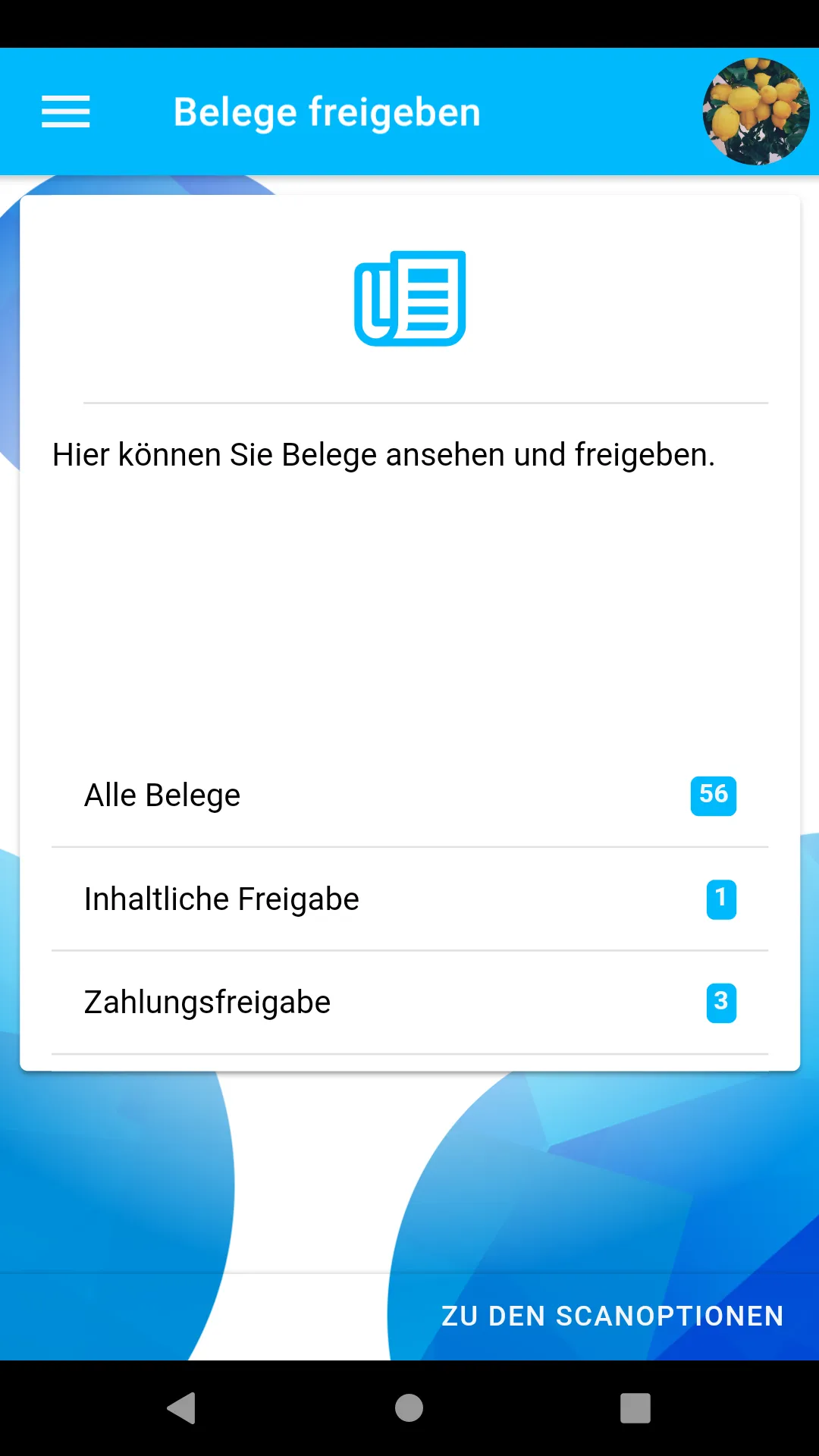 Taxflow Austria | Indus Appstore | Screenshot