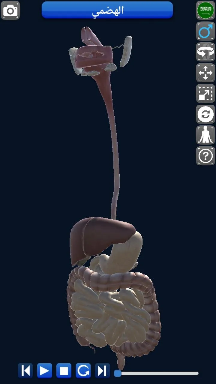 Anatomy 3D | Indus Appstore | Screenshot