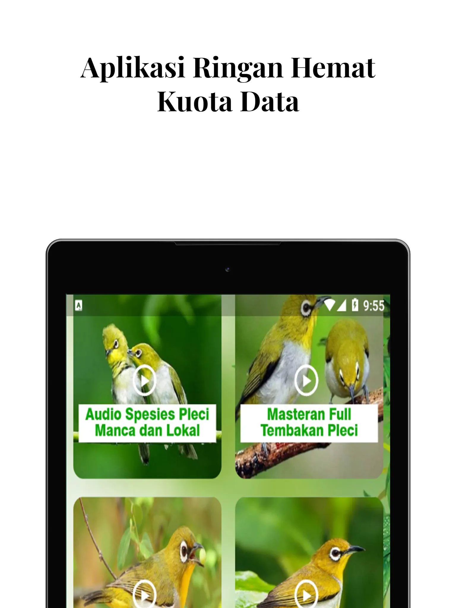 Masteran Burung Pleci Gacor | Indus Appstore | Screenshot