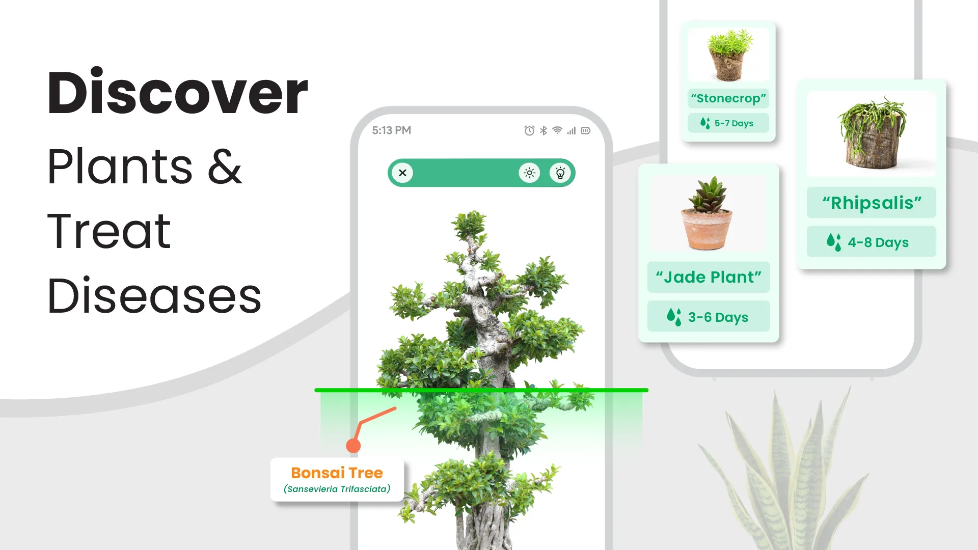 Plant Identifier: AI Plant App | Indus Appstore | Screenshot