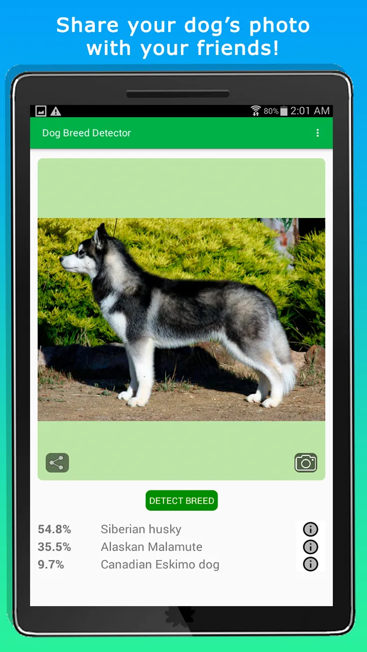 DoggyApp - Identify Dog Breeds | Indus Appstore | Screenshot