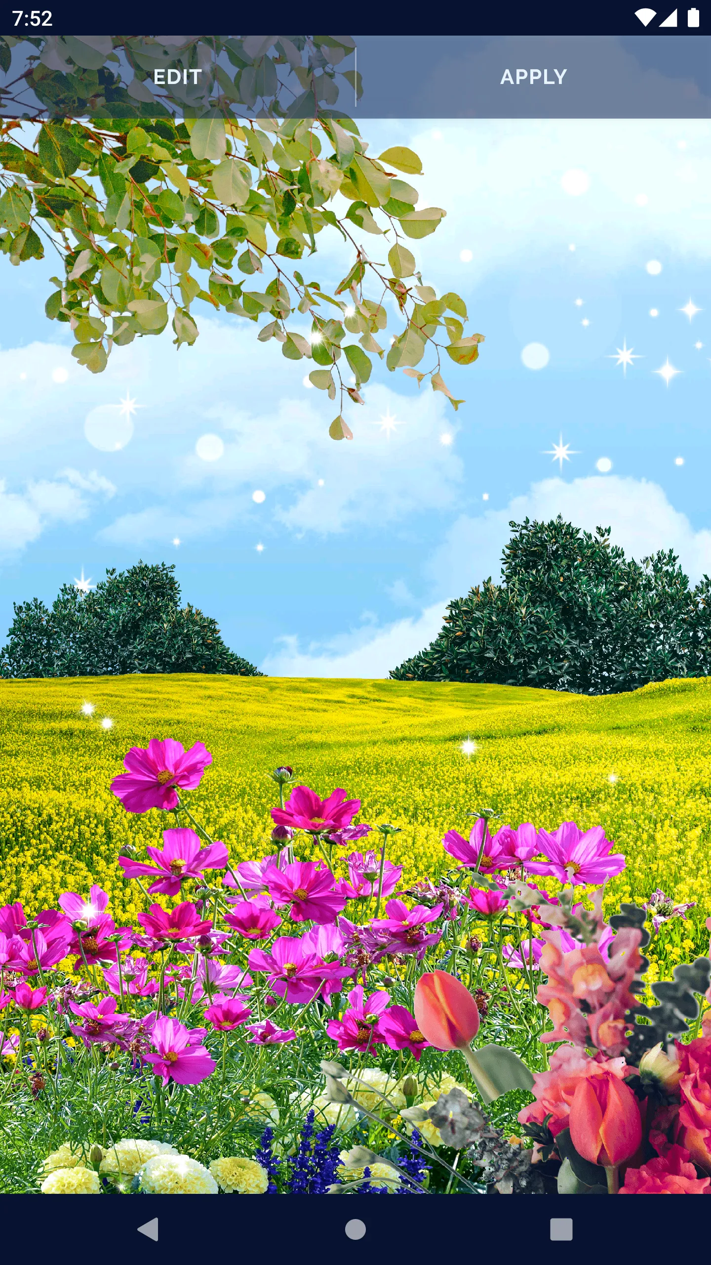 Flowers Live Wallpaper | Indus Appstore | Screenshot